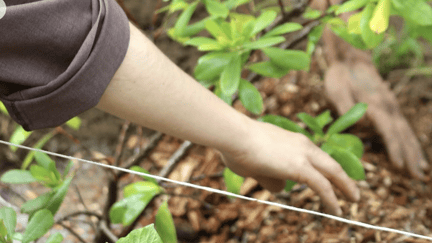 Screenshot 2025 11 12 at 2 15 16 ΓÇ PM