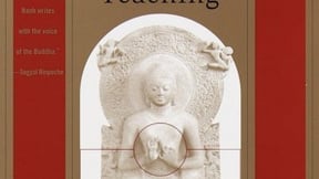 71v Ln ELTZDL 400x615