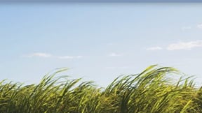 9781888375848 fullsize rgb 400x602