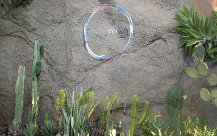 IMG 7855 1