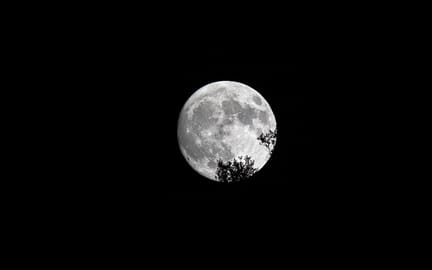 Full Moon Festival 20240916 28