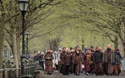 Walk Park 2jpg