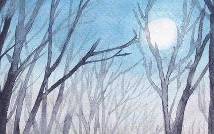 Winter Path crop