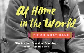 At Home in the World Cover
