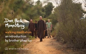 1 Walking Meditation an introduction by Brother Phap Luu