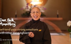 Befriend Emotions Sr Dang Nghiem