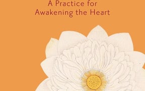 719k Fvvoz AL SL1500