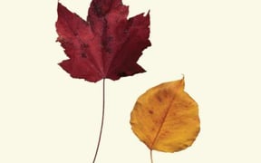 9781888375688 fullsize rgb 400x600