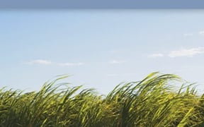 9781888375848 fullsize rgb 400x602