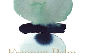 9781946764720 400x611