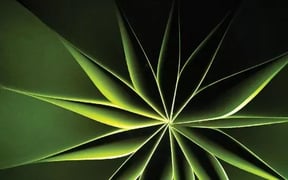 Beyond the self 279x418