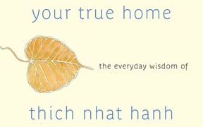 Yourtruehome 1200x1677