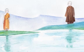 Bop chan cho thay3 000 crop