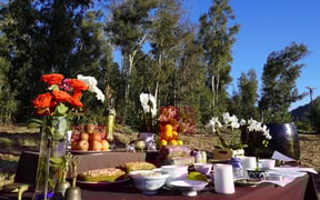 DSC03245 edited scaled