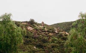 IMG 2698