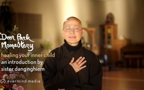 Inner Child Sr Dang Nghiem