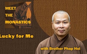 Mtm thumbnail phap hoi