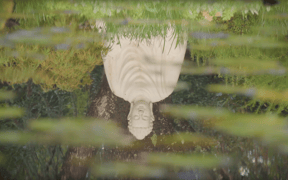 Screenshot 2025 04 13 at 16 08 22 Only Sitting Immersive Meditation Guided by Thich Nhat Hanh You Tube