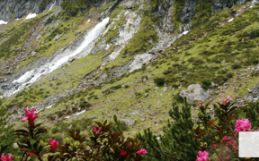 Screenshot 2025 04 13 at 16 21 00 Flower Fresh Meditation Guided by Thich Nhat Hanh mindfulness You Tube