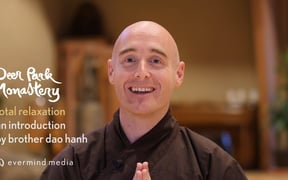 Totalrelaxation Br Dao Hanh