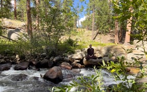 YMCA 7 scaled fit25602 C1920ssl1