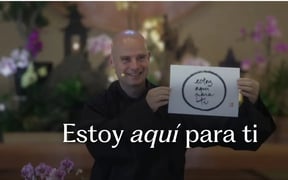 Br Phap Luu 2025 11 02