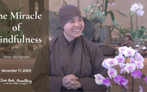 Yt thumbnail boi nghiem 11 17 2024