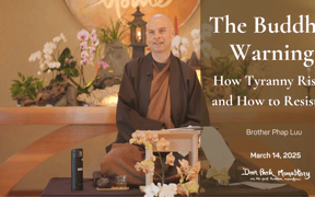 Yt thumbnail phap luu 03 14 2025