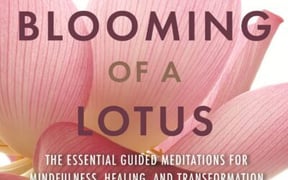 Ezgif 2 c2bb04309b 400x618