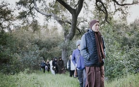 Going on a walk in the field