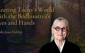 Yt thumbnail roshi joan halifax interview