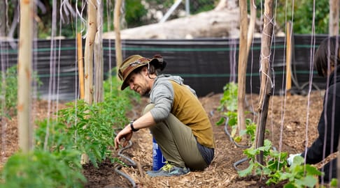 Happy Farm 20250426 2