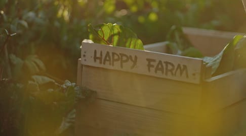 Still 2026 03 08 143237 1 474 1