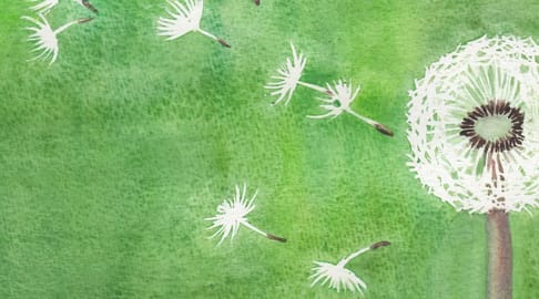 Bo cong anh crop
