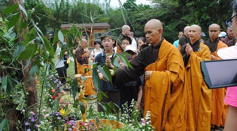 Monks with plants