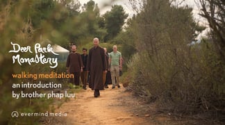 1 Walking Meditation an introduction by Brother Phap Luu