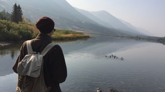 54264 DAE B195 4 DD2 A7 C3 010584 F0 E913 1 105 c