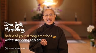 Befriend Emotions Sr Dang Nghiem