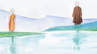 Bop chan cho thay3 000 crop