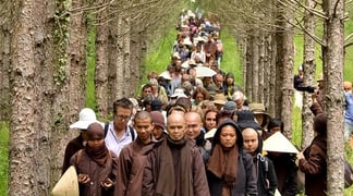 Plum Village Practice Center Thich Nhat Hanh leading walking meditation in Plum Village France