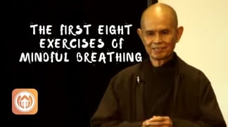 First8 Exercises