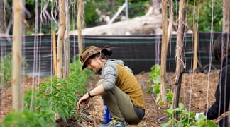 Happy Farm 20250426 2