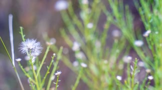 Holiday Retreat20250101 50