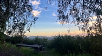 IMG 0154