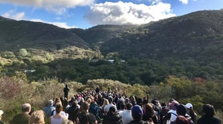 Jan 1 2017 at Deer Park