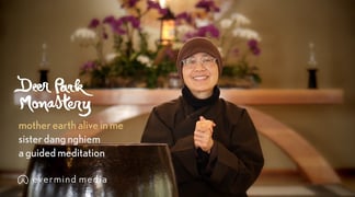 Mother Earth Sr Dang Nghiem