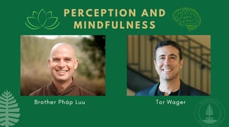 Perception You Tube Thumbnail