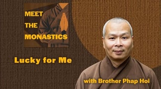 Mtm thumbnail phap hoi