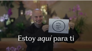Br Phap Luu 2025 11 02