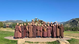 Monastic healthcare